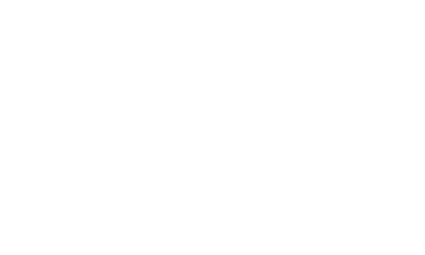 Fractal Sun